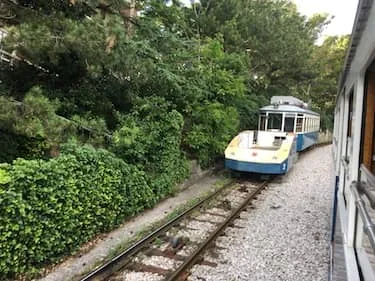 Il Tram di Opicina: il viaggio più spettacolare di Trieste dal 1902