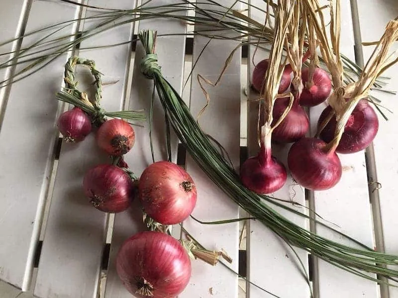 Cipolla Rossa di Cavasso e Val Cosa: Presidio Slow Food in PN