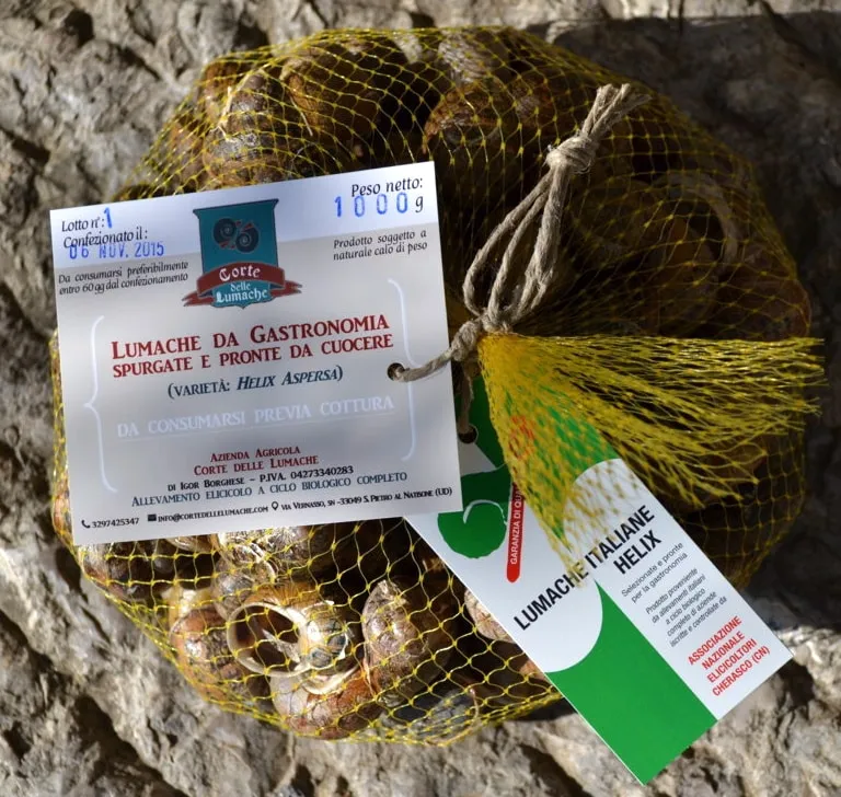 Corte delle Lumache a San Pietro al Natisone: elicicoltura biologica