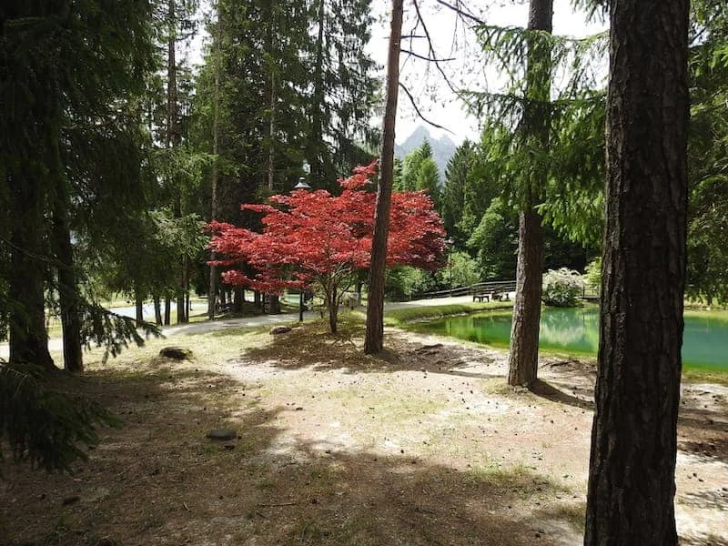 Escursioni a Forni di Sopra nell'Alta Val Tagliamento