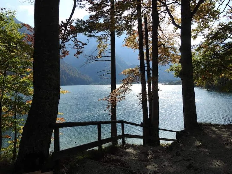 Vacanze con bambini a Tarvisio: cosa fare estate e inverno