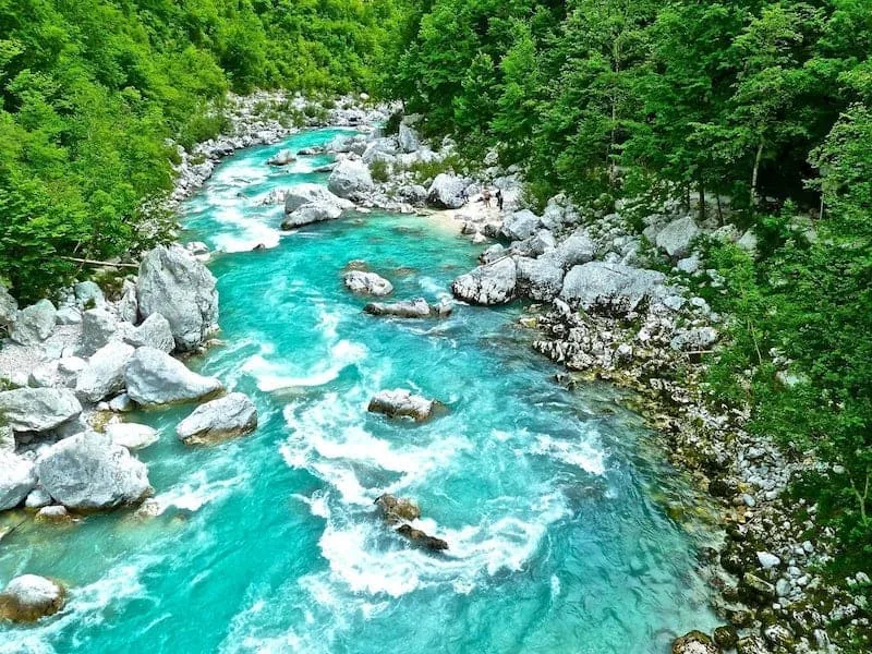 Fiume Isonzo: confini, battaglie ed ecosistema della foce
