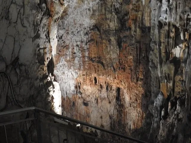 Grotta Gigante: speleogenesi e pendoli geodetici - Natura & Wildlife in Friuli Venezia Giulia