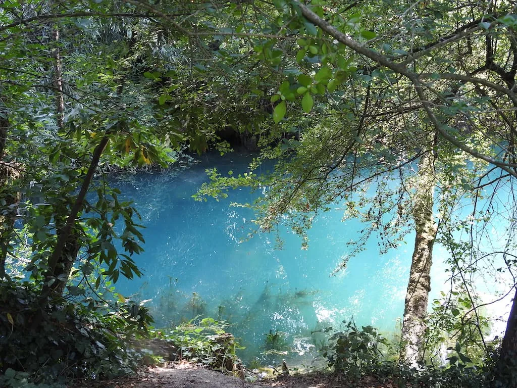 Trieste e dintorni: idrografia carsica e Val Rosandra - Natura & Wildlife in Friuli Venezia Giulia