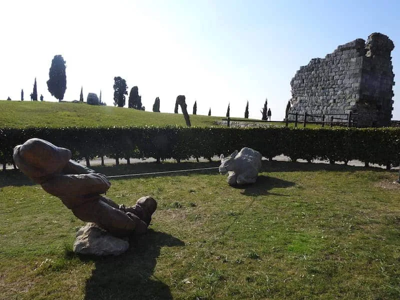 Oasi dei Quadris di Fagagna: cicogne, ibis eremita e cavalli Konik