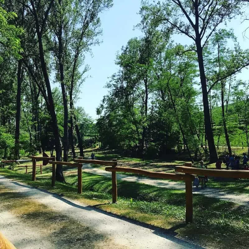 Bosco Romagno: il parco naturale tra Cividale, Prepotto e i Colli Orientali