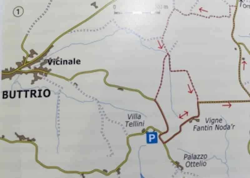 Percorso ornitologico tra le vigne di Buttrio e Manzano - Natura & Wildlife in Friuli Venezia Giulia