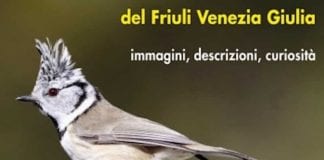 percorso ornitologico