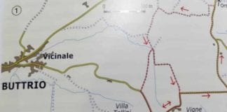 Percorso ornitologico: vigne tra Buttrio e Manzano