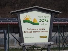 Azienda Agricola Zore
