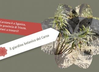 Giardino botanico Carsiana